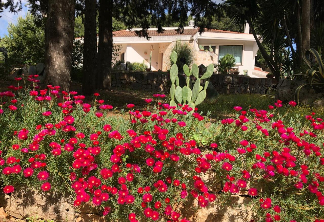 Casa 34 Dimore d'amare Ceglie Messapica Esterno foto